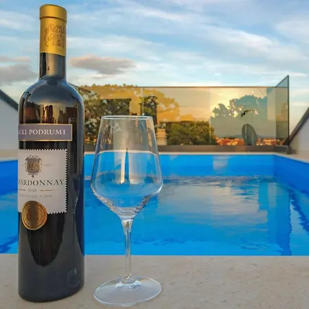 Blue Sky Pool Villa-gm Villa Vodice