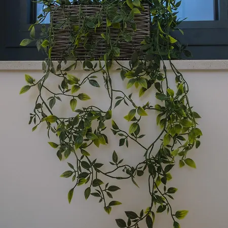 Blue Sky Pool Villa-gm Villa Vodice